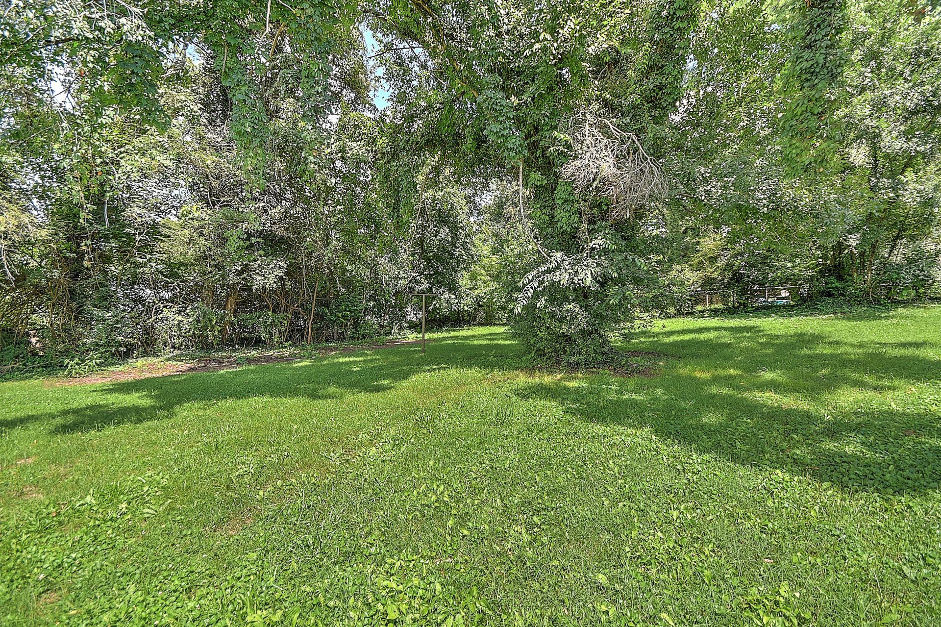 Green lawn with trees casting dappled shadows along a leafy hedge.