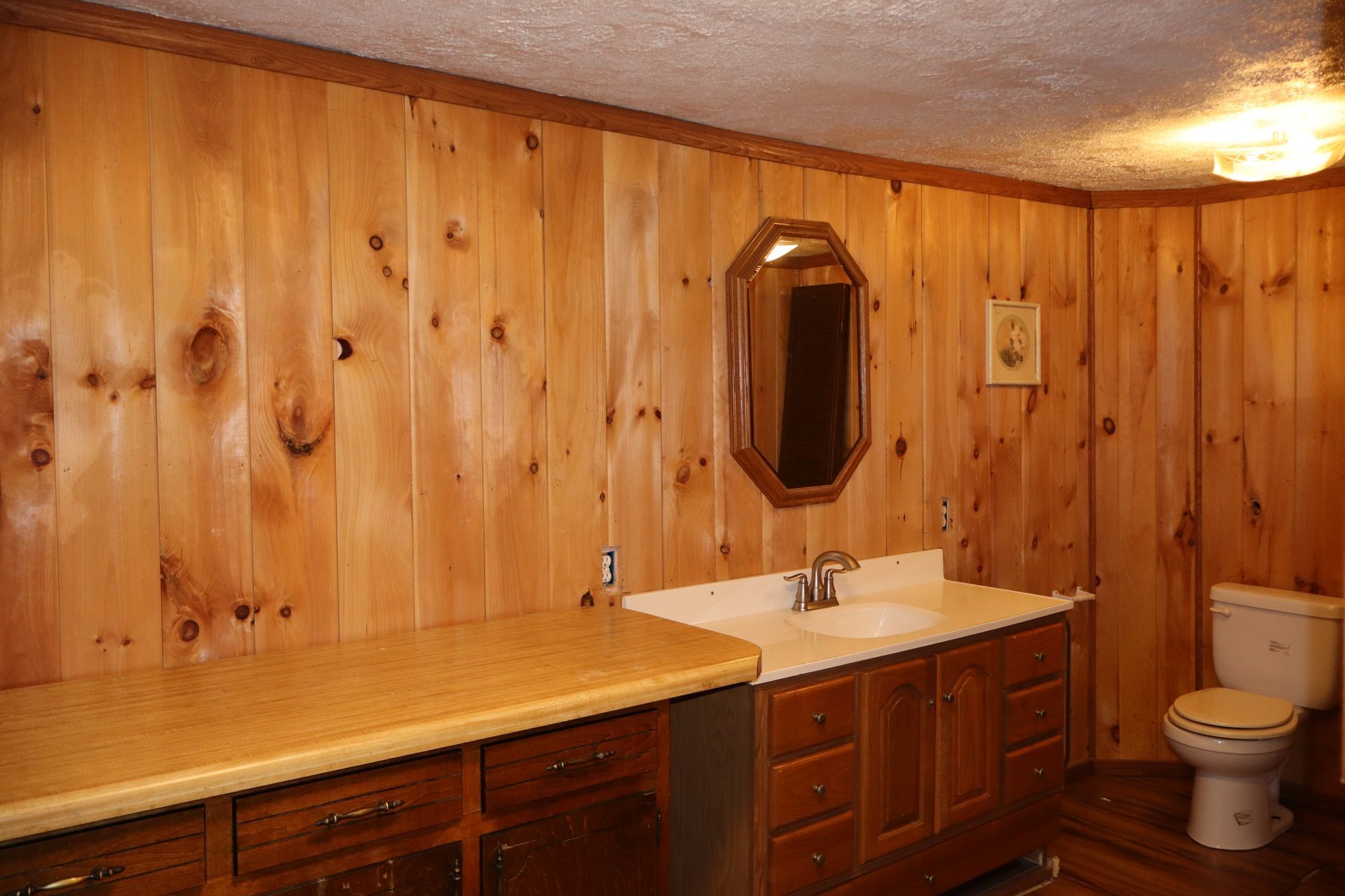 Wood-paneled bathroom with sink vanity, mirror, countertop, and toilet