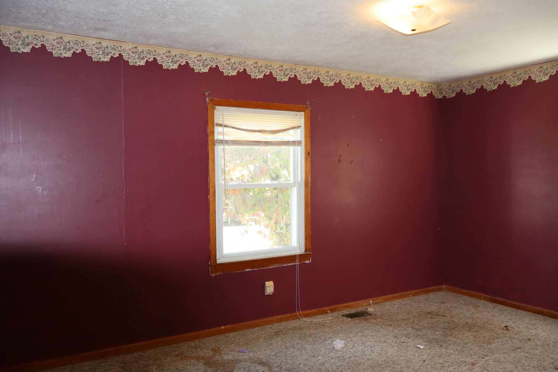 Empty maroon-walled room with a window, white trim, and carpeted floor