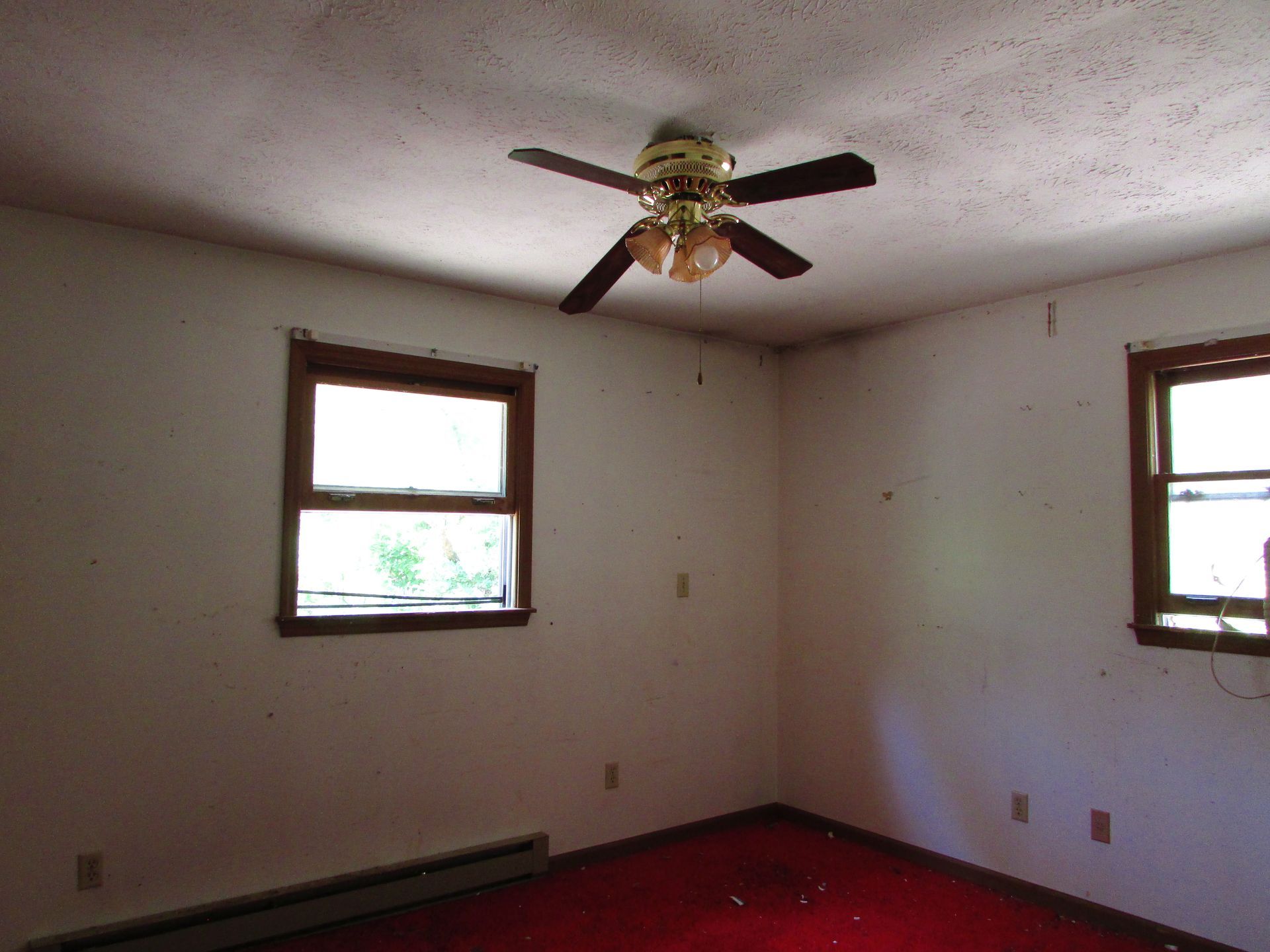Empty room with white walls, two windows, beige carpet, and a ceiling fan.