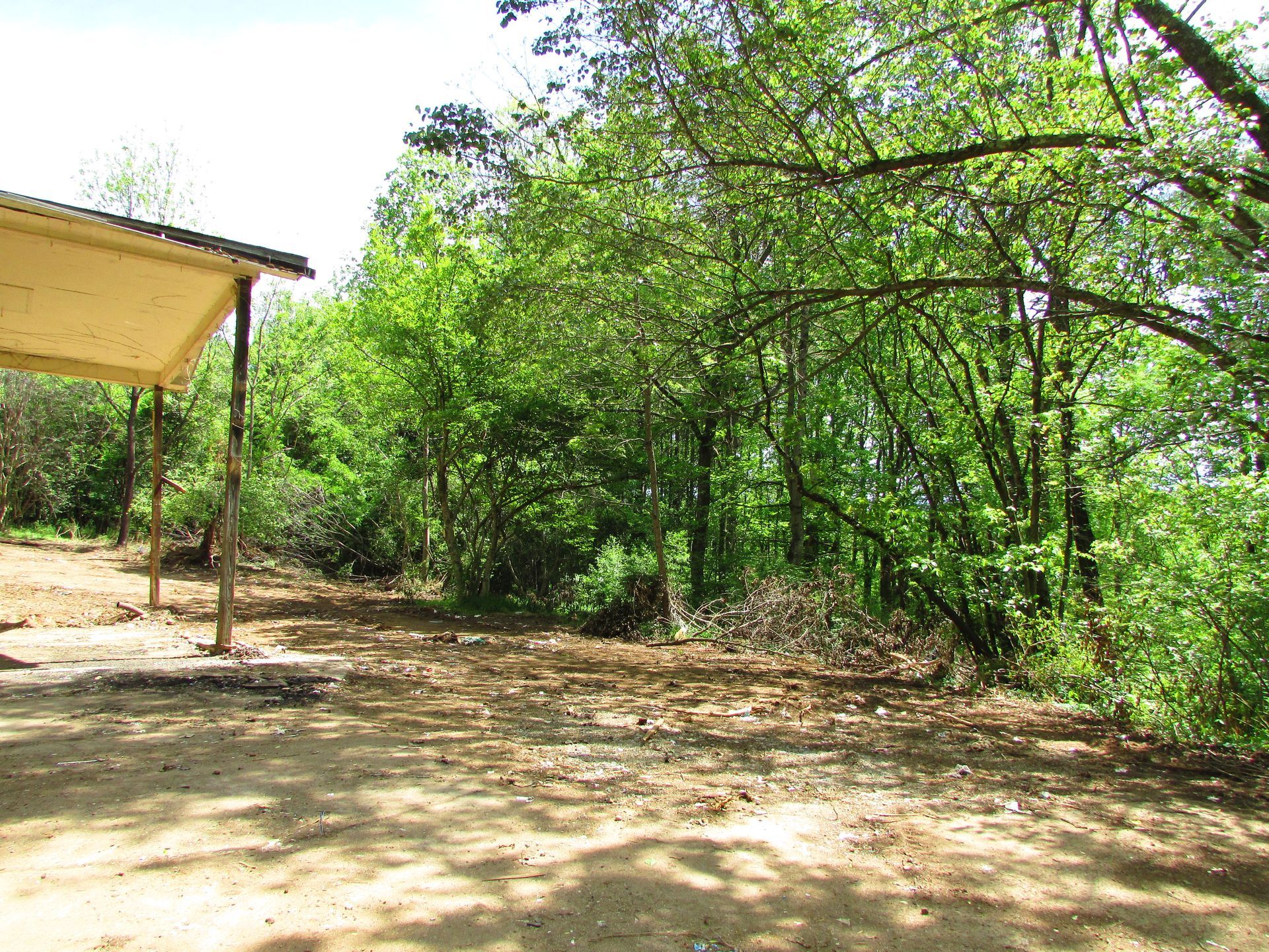 Shaded dirt clearing beside a small roofed shelter, surrounded by dense green trees.