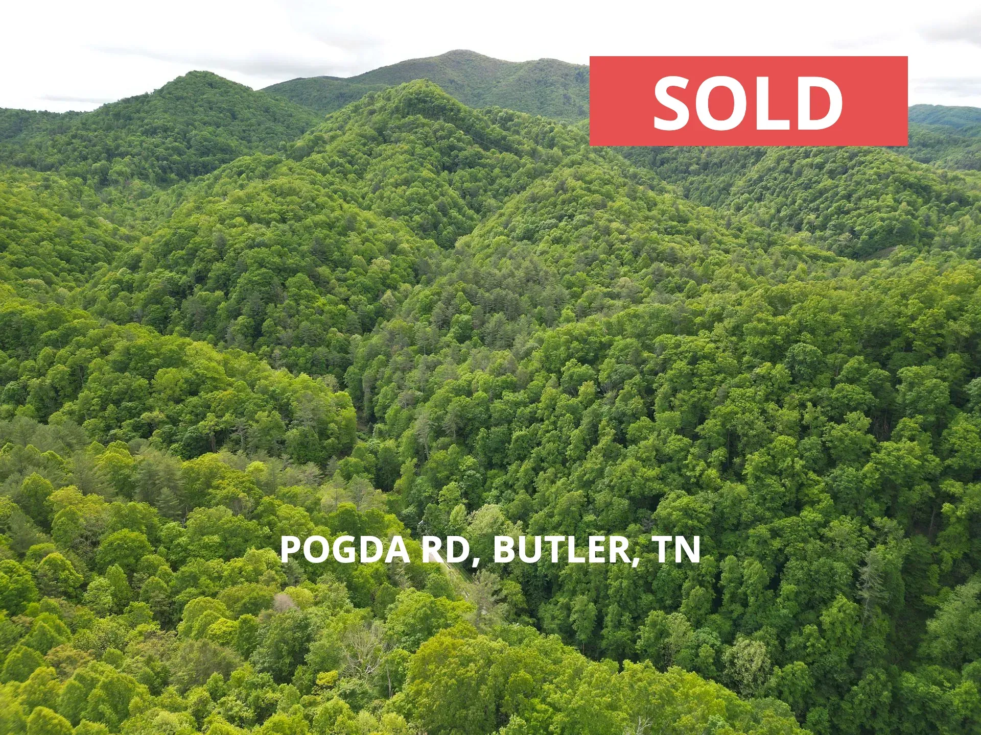 An aerial view of a lush green forest with mountains in the background - Poga Road Butler, TN Sold Live Land Auction Image