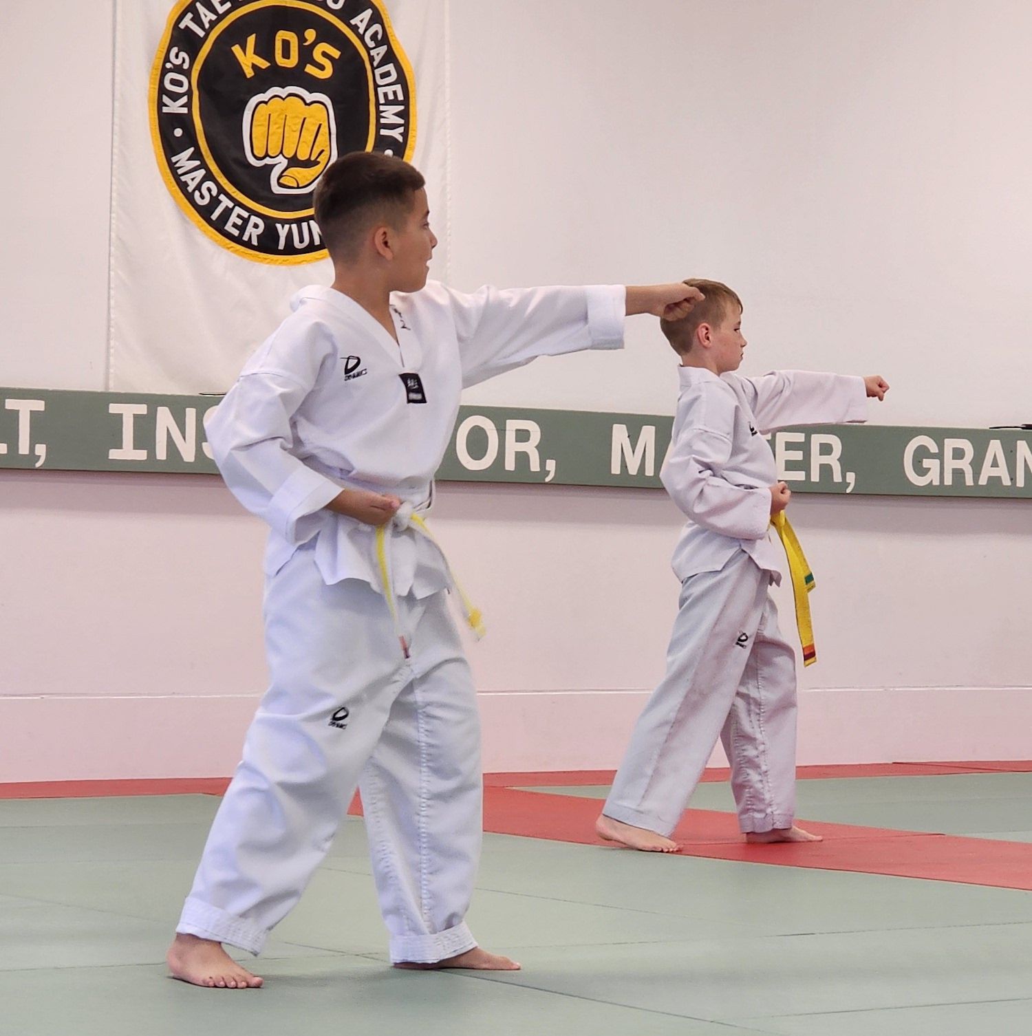 Taekwondo Children's Class