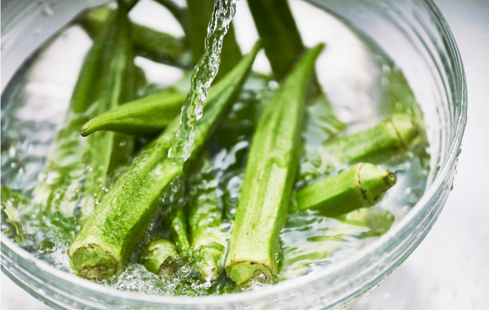 毛茄