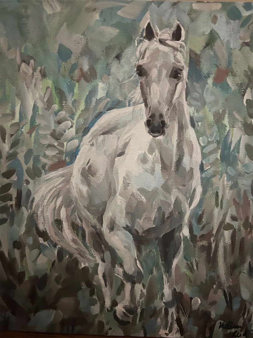 White horse in a field of green and grey foliage, looking directly at the viewer.