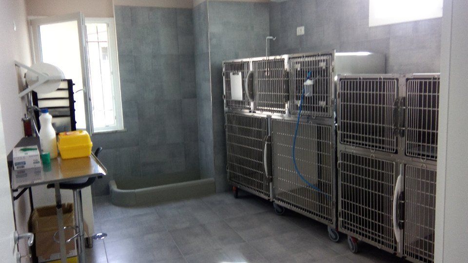 Sala degenza