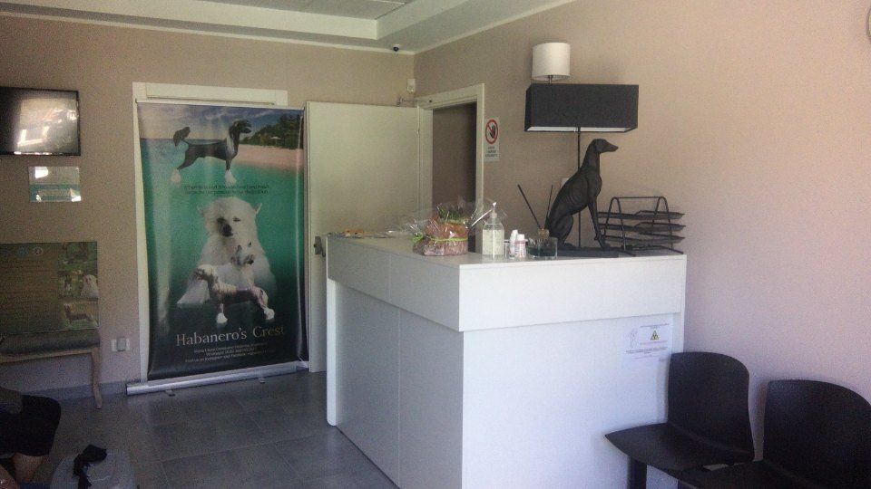 Sala accoglienza