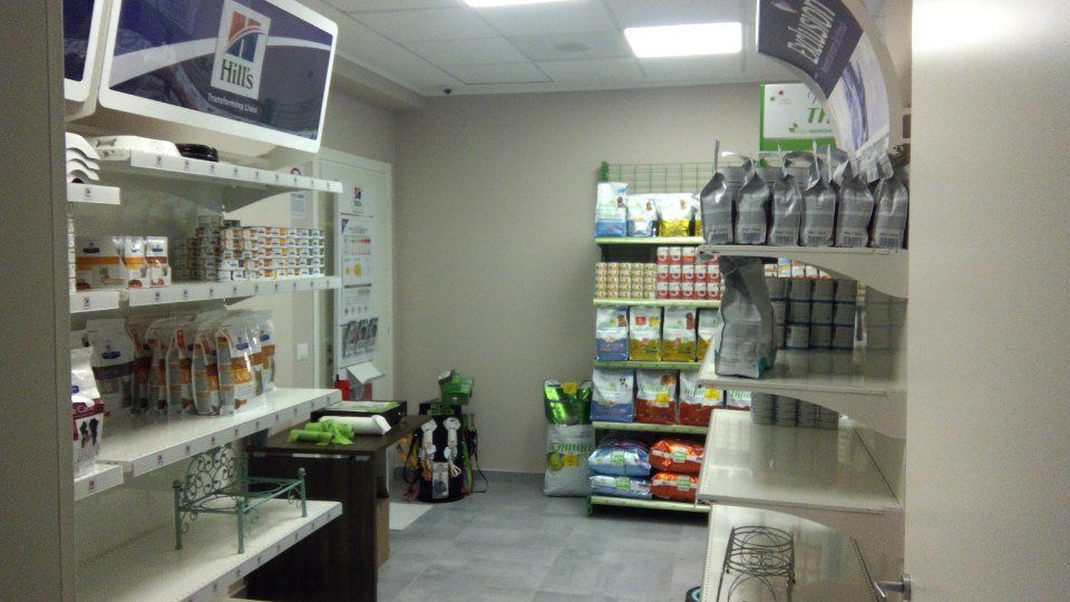 ottica califano