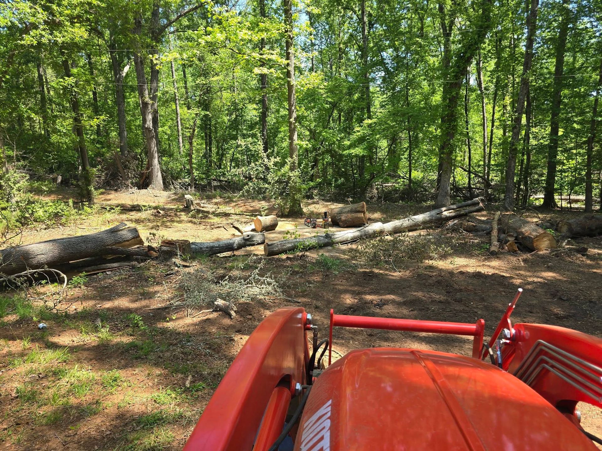 Red tractor in a sunny forest clearing with fallen logs and trees.