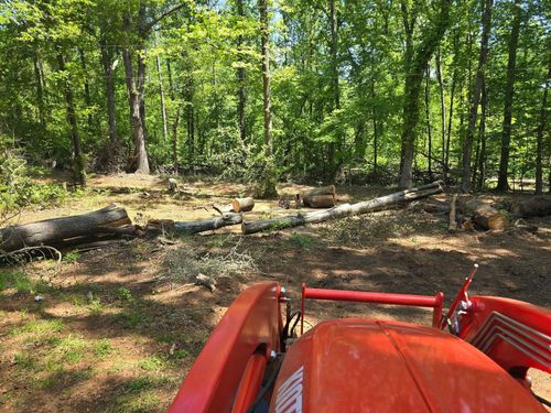 Red tractor in a sunny forest clearing with fallen logs and trees.