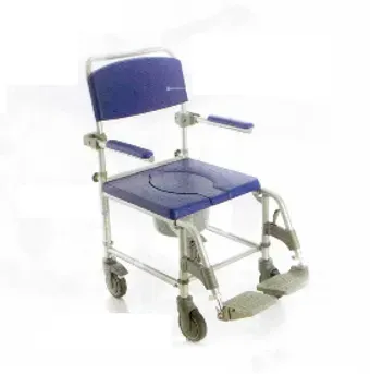 sedia wc