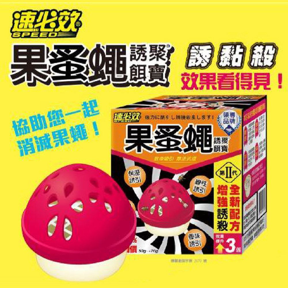 果蠅神器【速必效】果蚤蠅誘聚餌寶 蚤誘餌 果蠅誘餌 速必效 除果蚤 除果蠅 環保除蟲 果蠅餌劑 捕蠅器【DR422】