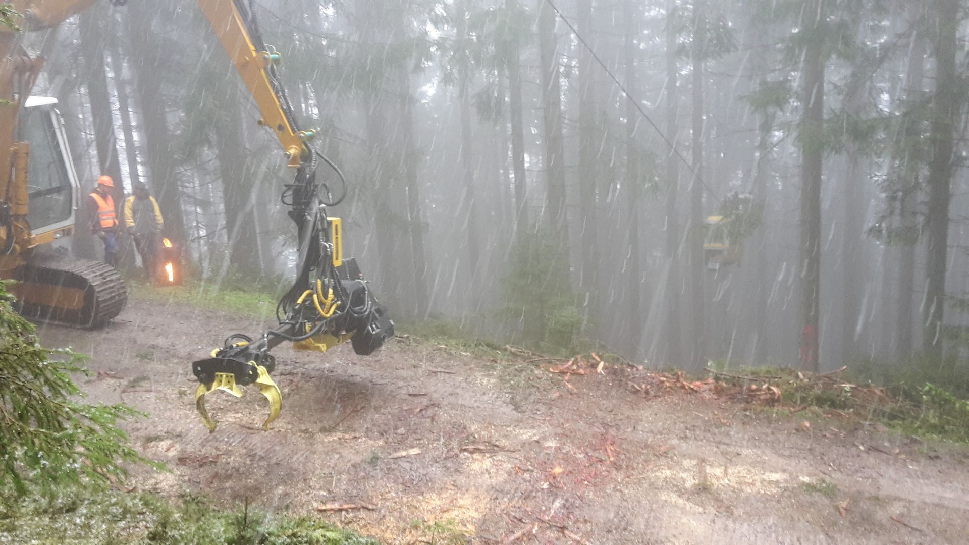 Macchina per il disboscamento che taglia alberi in una foresta nebbiosa, con tempo piovoso.