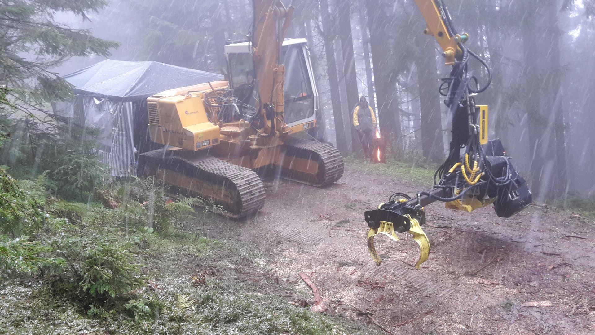 Macchina gialla per il disboscamento al lavoro in una foresta fangosa e piovosa.