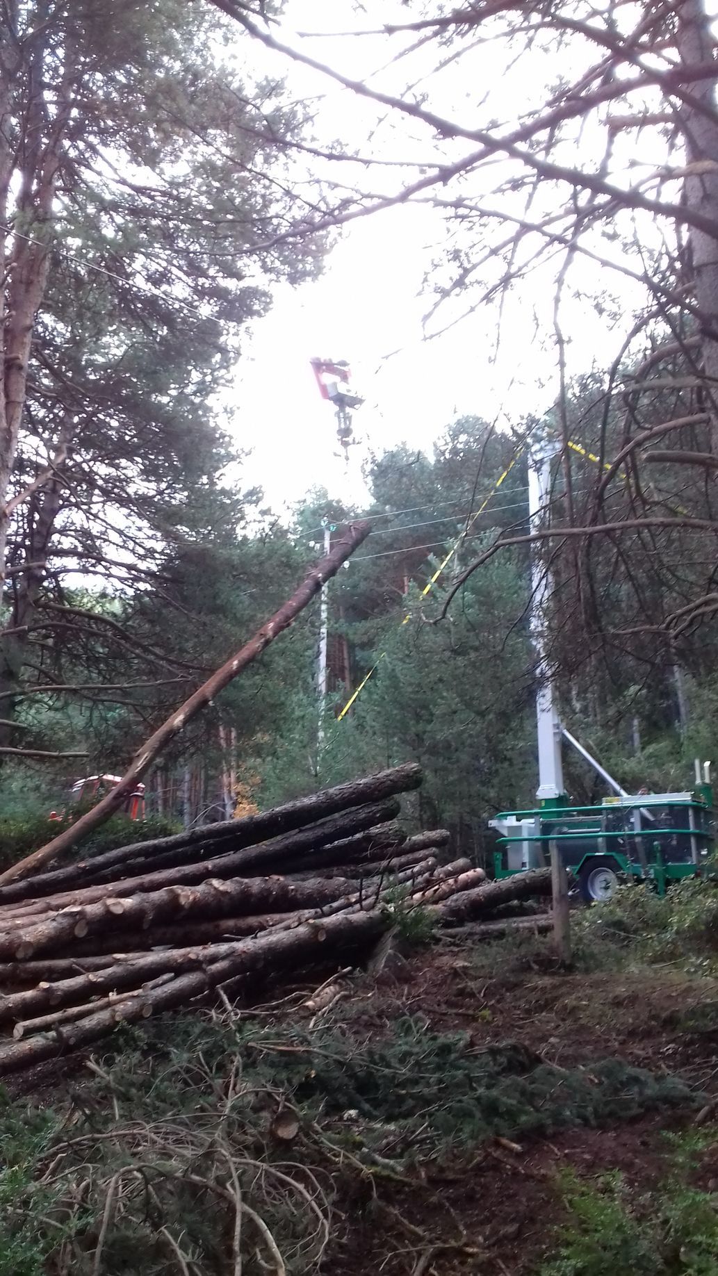 Tronchi ammucchiati in una radura della foresta con una macchina forestale, alberi sullo sfondo.