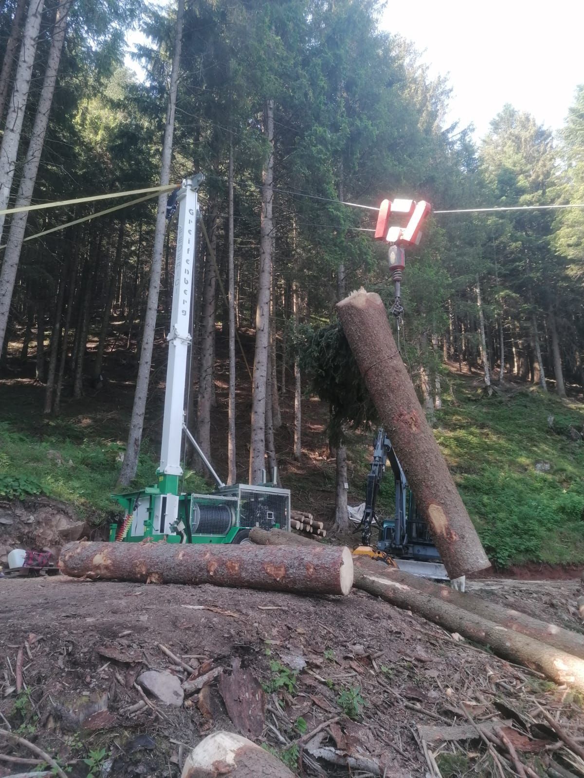 Una gru solleva un tronco d'albero in una radura della foresta; altri tronchi sono a terra vicino alla gru.