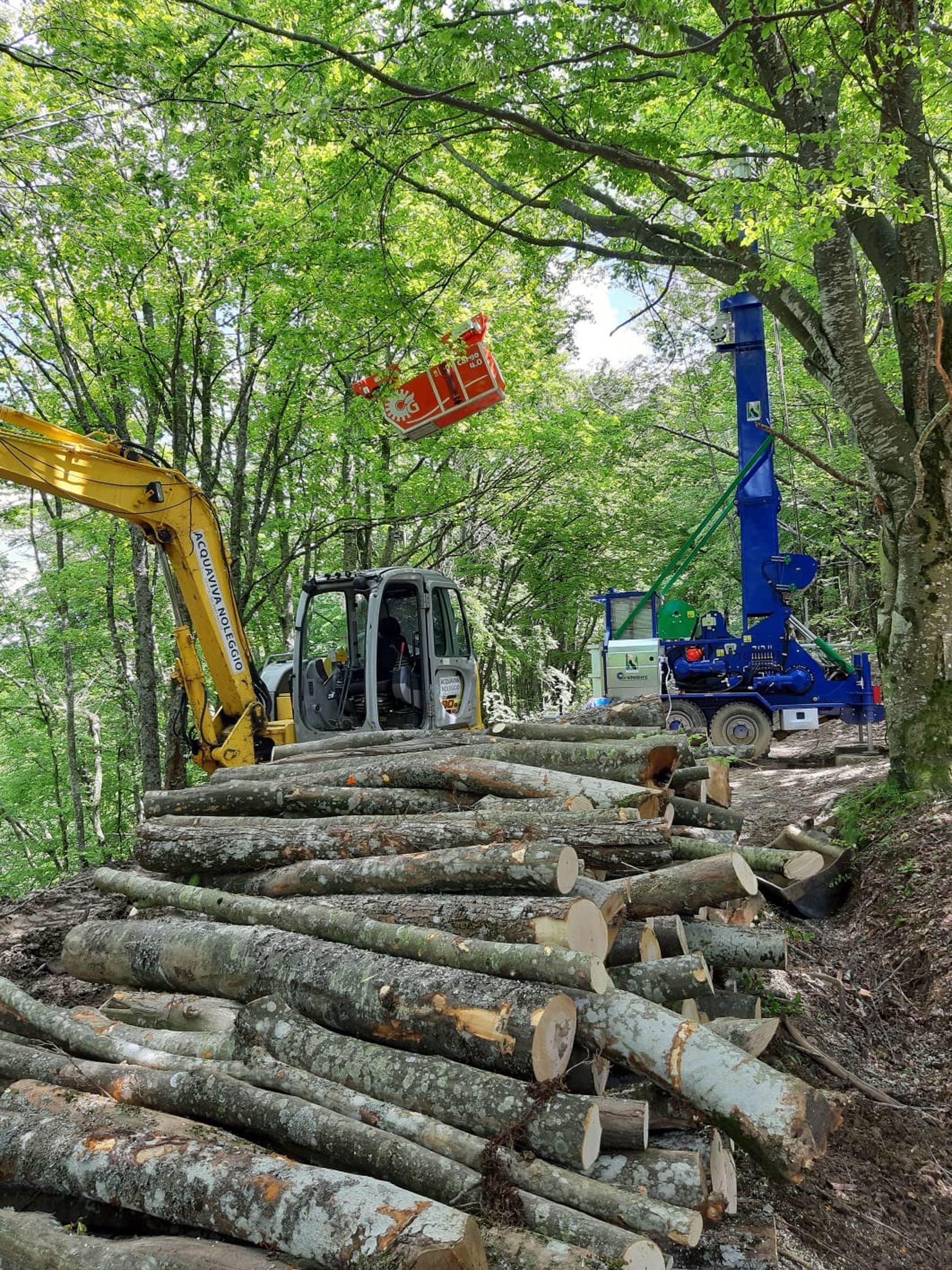 Tronchi e macchinari pesanti in una foresta: escavatore, cippatrice.