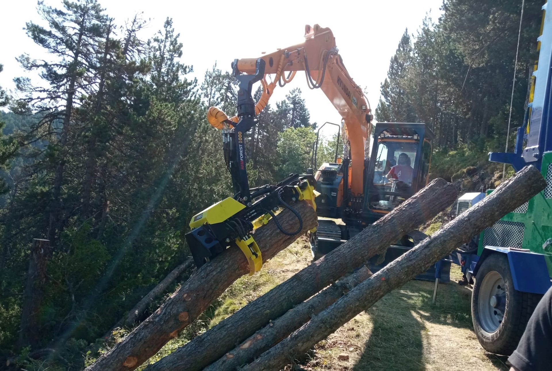 Un escavatore con un accessorio forestale sposta tronchi in un ambiente forestale.
