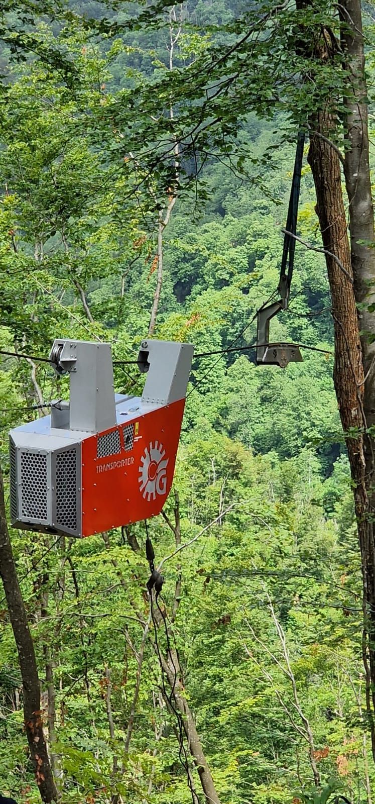 Una funivia rossa con un logo sul cavo, sospesa in una foresta con fogliame verde.
