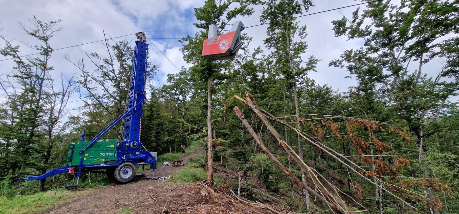 Attrezzatura forestale che rimuove alberi abbattuti in una zona boschiva. Una macchina blu e una testa di raccolta rossa.
