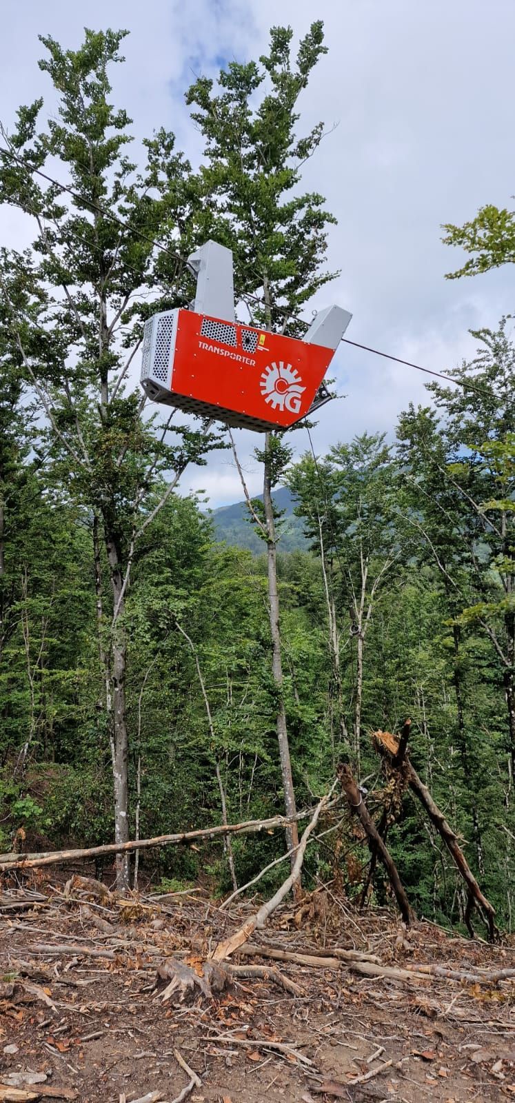 Cartello rosso e bianco a forma di scatola sospeso in una foresta, con uno sfondo verde e un cielo nuvoloso.