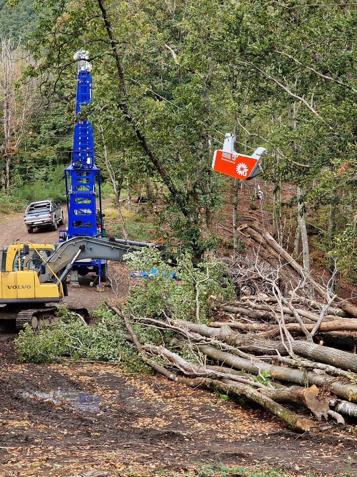 Una macchina blu per l'abbattimento degli alberi, un escavatore giallo e tronchi abbattuti in una zona boscosa.