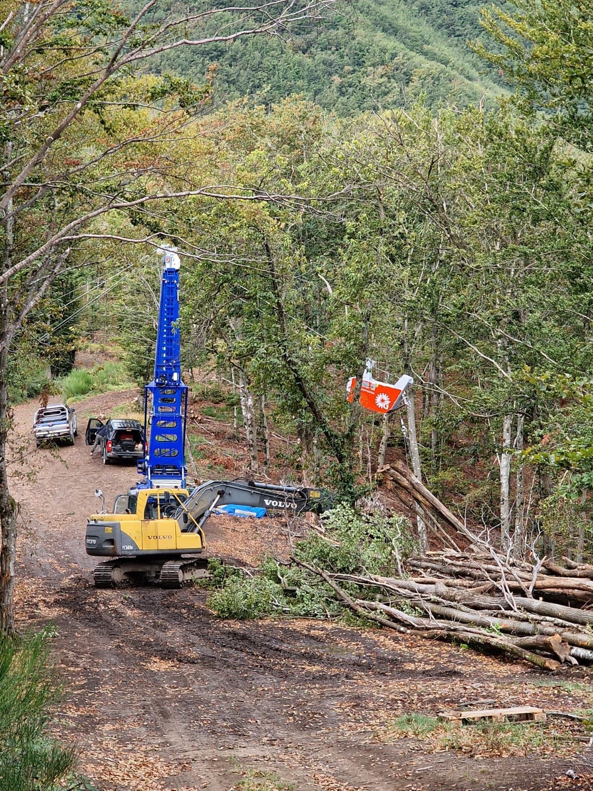Un escavatore giallo con braccio blu in una radura della foresta, mentre sposta tronchi.