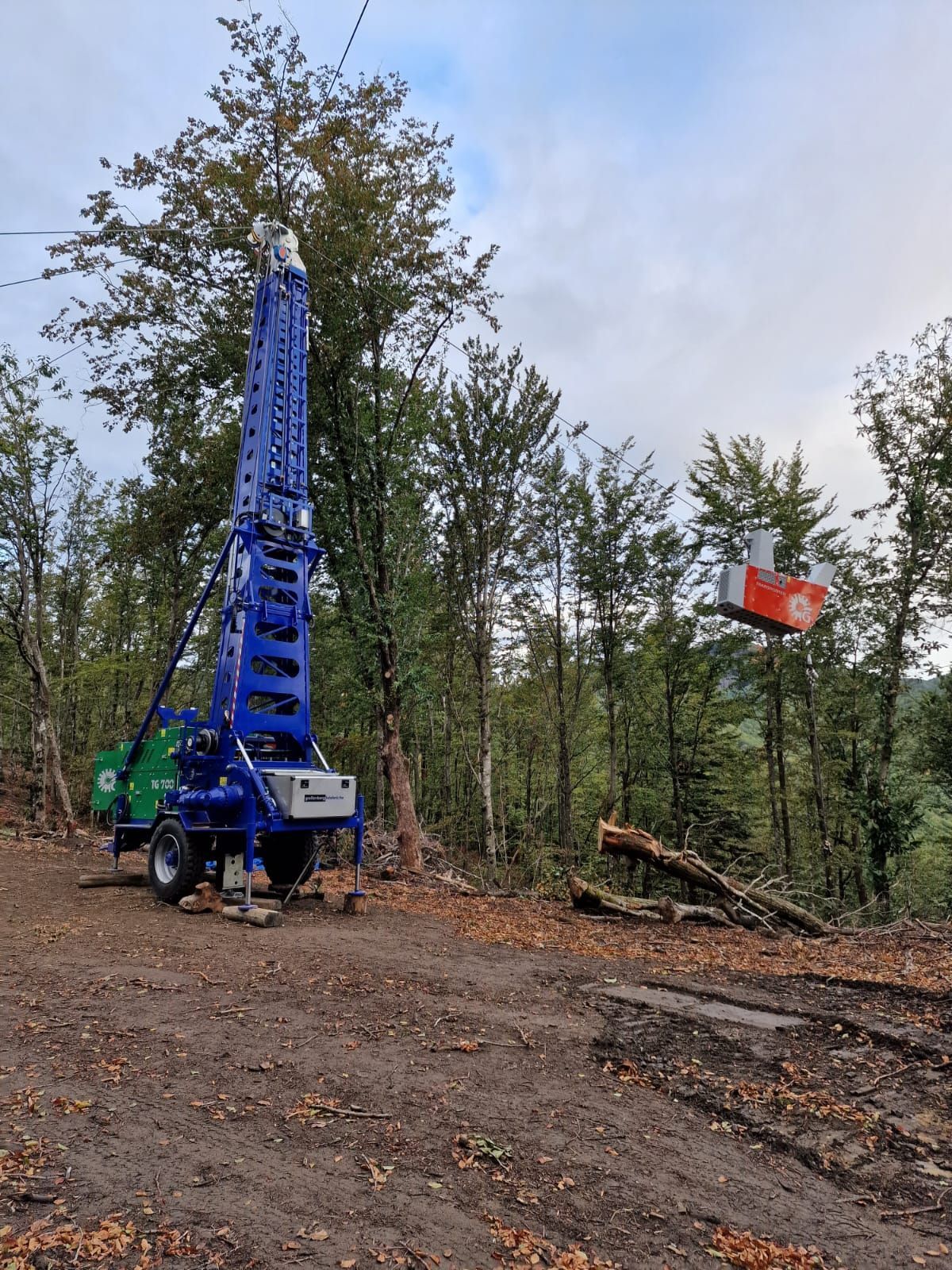 Macchina forestale blu che taglia e rimuove sezioni di alberi in una foresta.