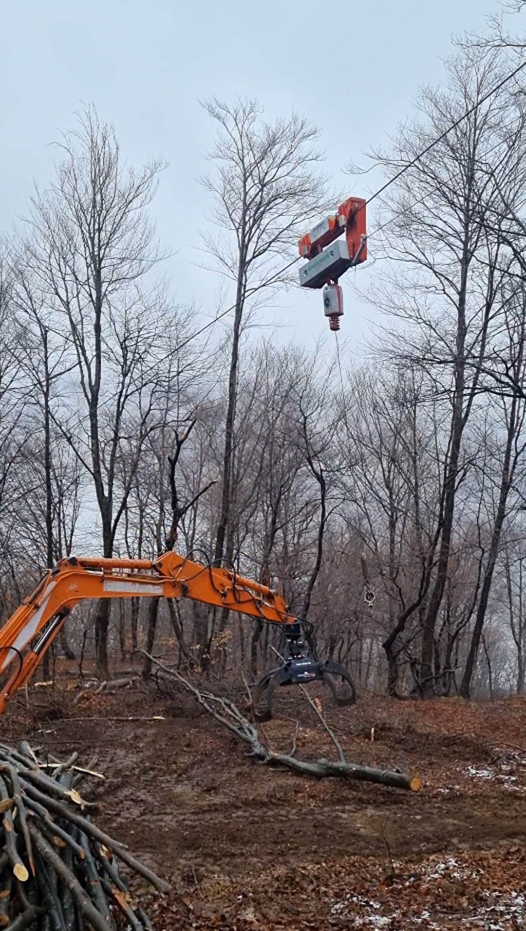 Un escavatore arancione usa una gru per sollevare il tronco di un albero in una foresta, con una pila di tronchi tagliati nelle vicinanze.