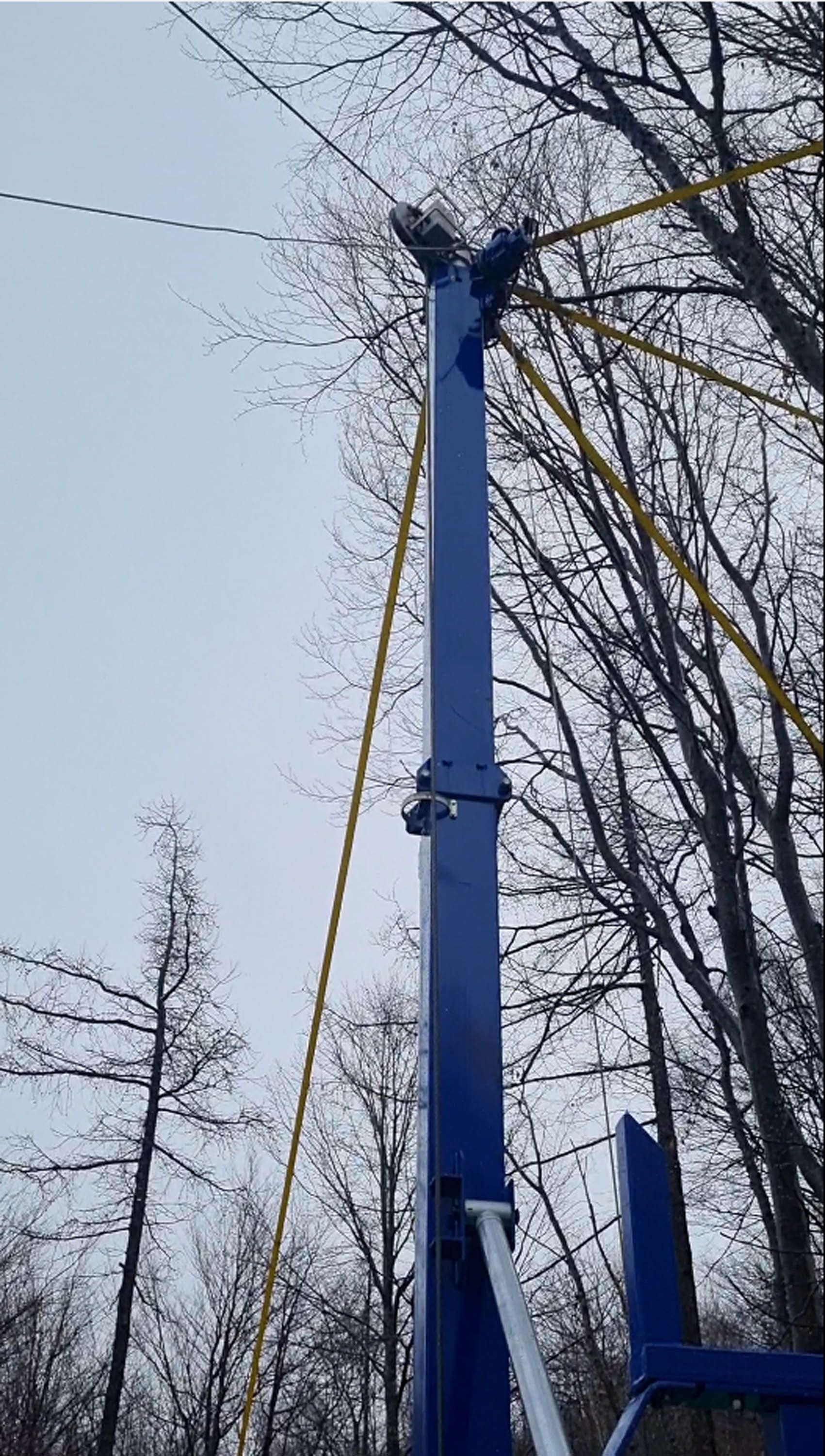 Il braccio di un camioncino blu si allunga verso i cavi elettrici; sullo sfondo cielo e alberi.