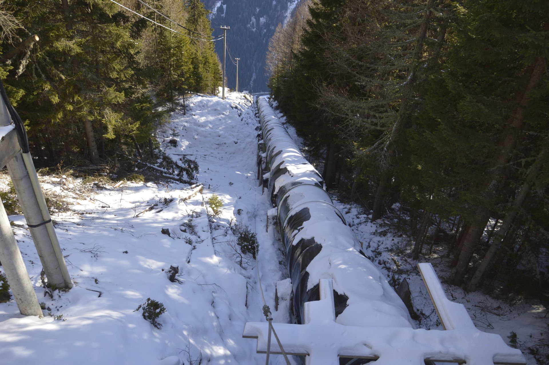 Conduttura innevata che scende attraverso una foresta innevata, fiancheggiata da alberi.