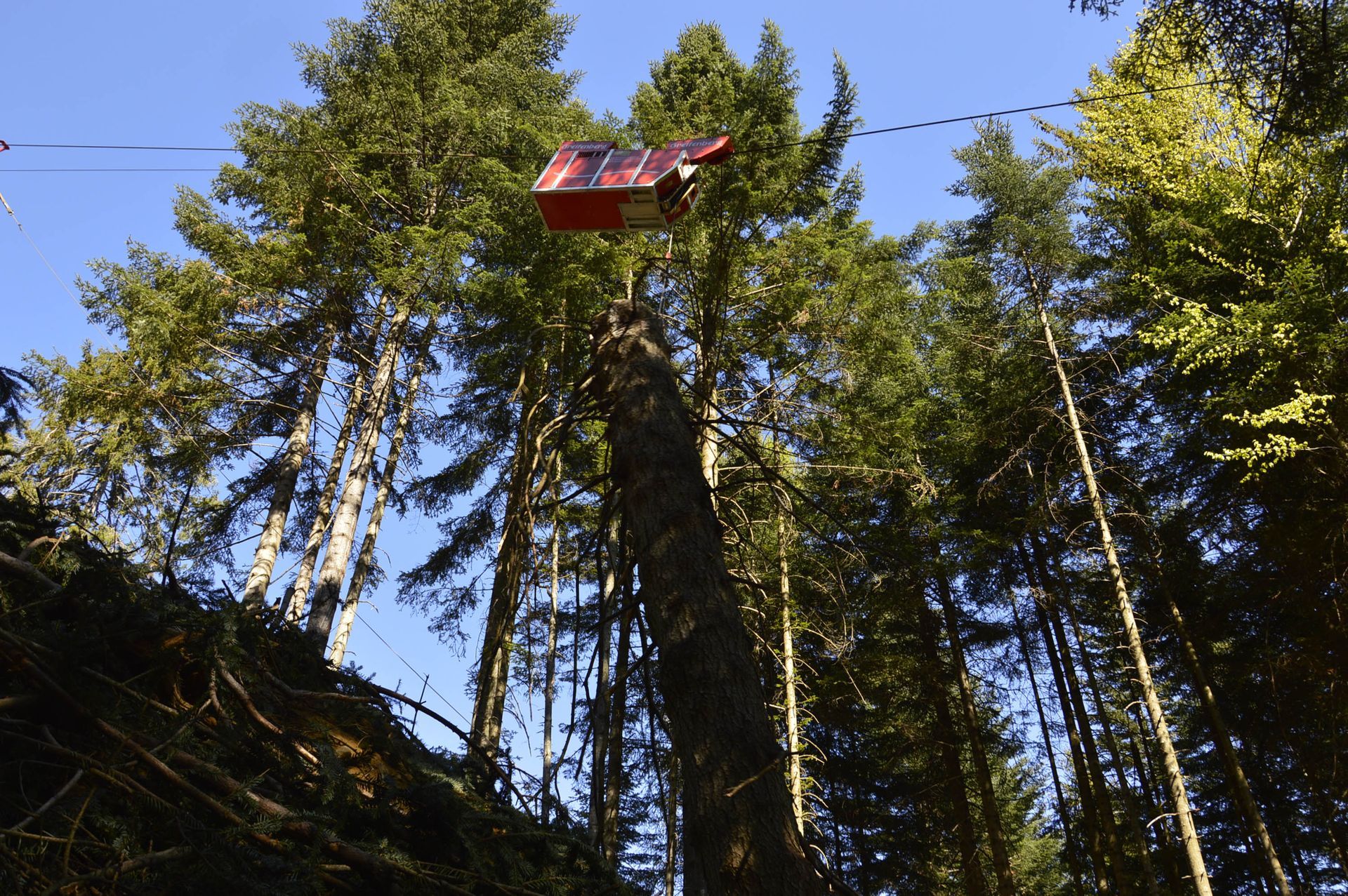 Una scatola rossa su una teleferica sopra una foresta; la luce del sole filtra attraverso gli alti alberi verdi.