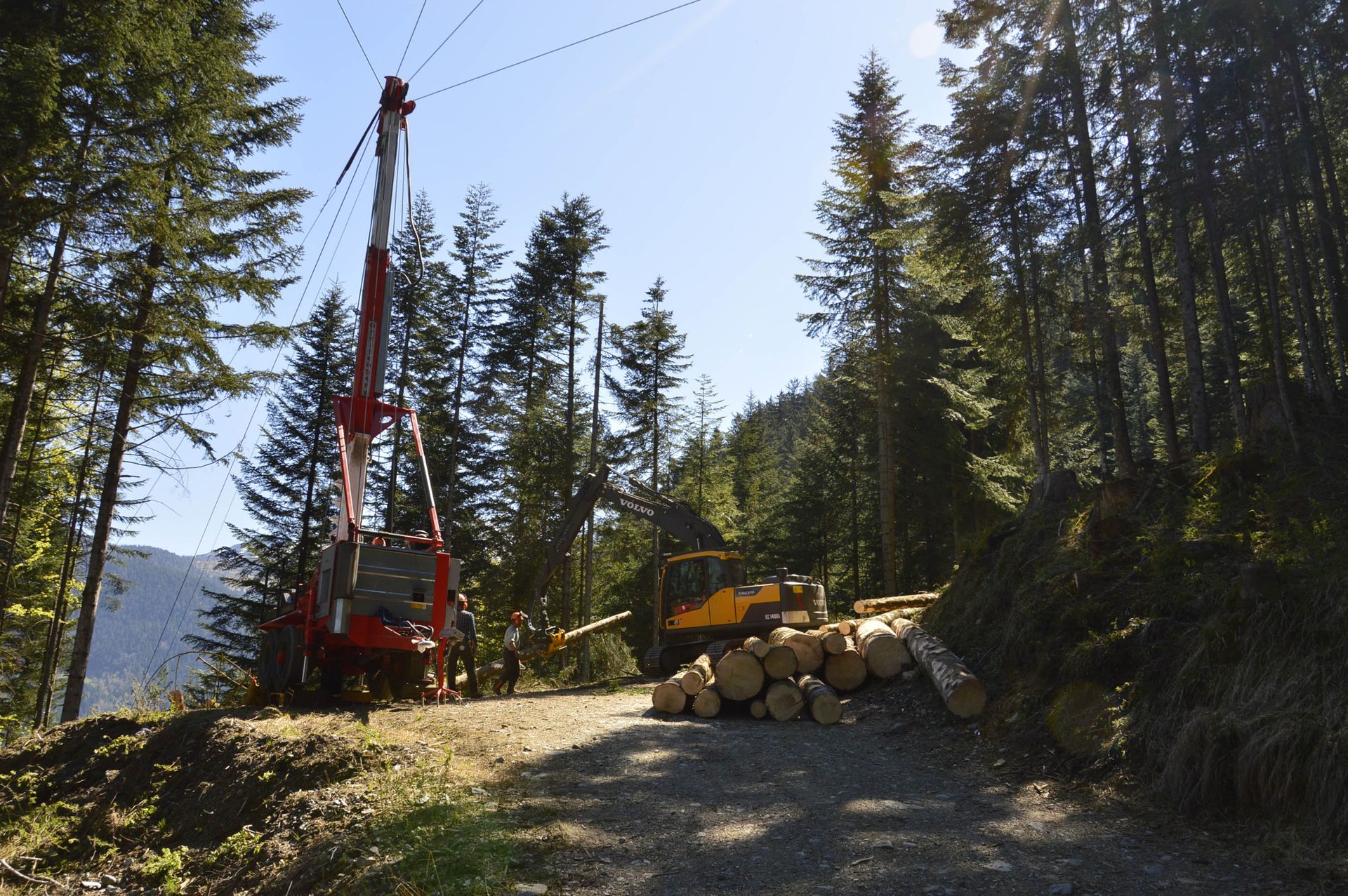 Operazione di disboscamento: una gru a cavo e un escavatore al lavoro in una radura della foresta, con tronchi tagliati ammucchiati su una strada sterrata.