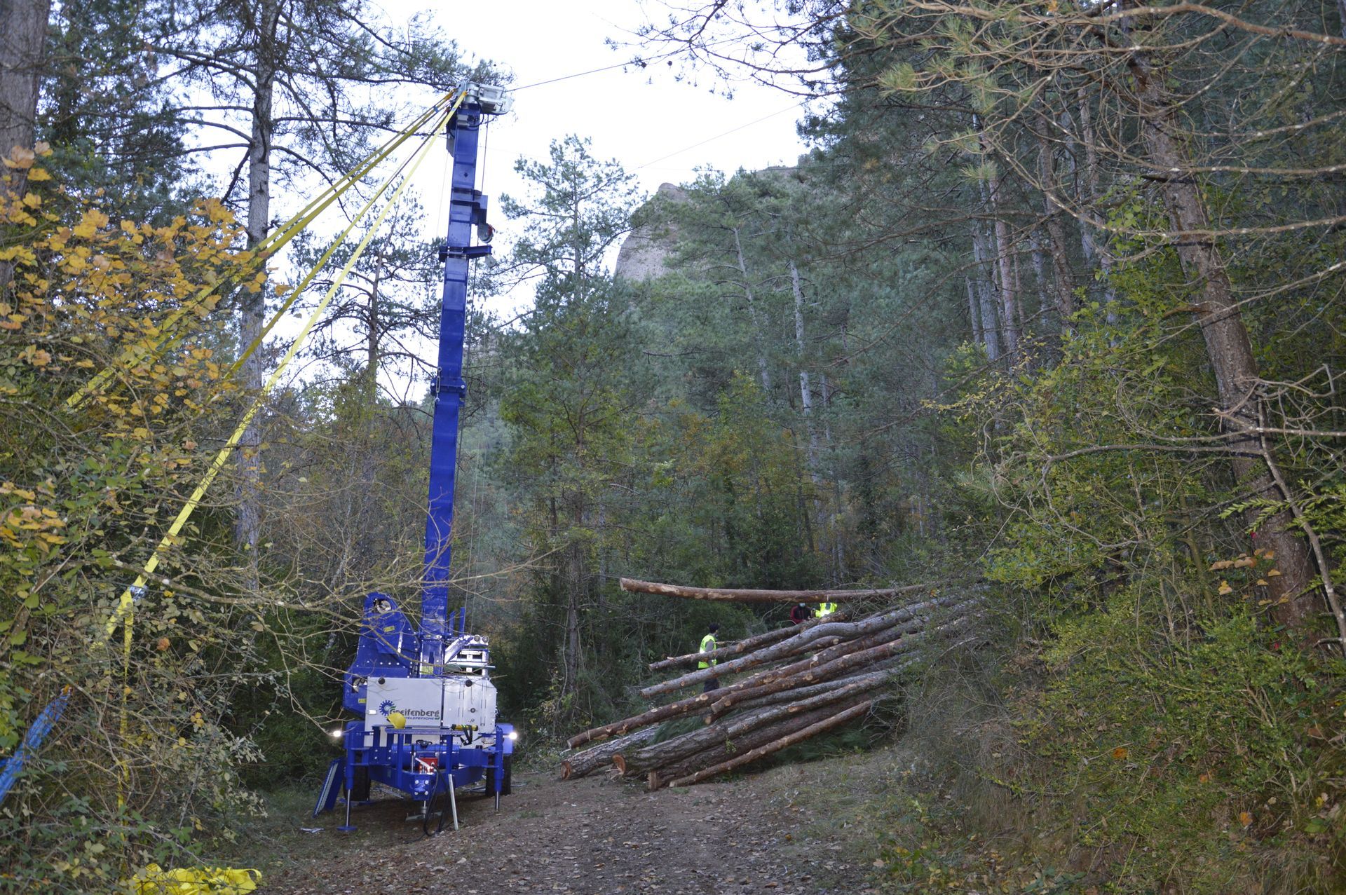 Gru blu in una radura della foresta, intenta a sollevare tronchi. Sono visibili gli operai.
