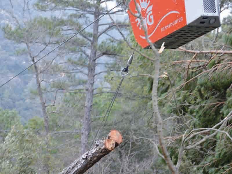 Scatola arancione con logo attaccato al ramo di un albero, tronco d'albero tagliato in primo piano, montagne sullo sfondo.