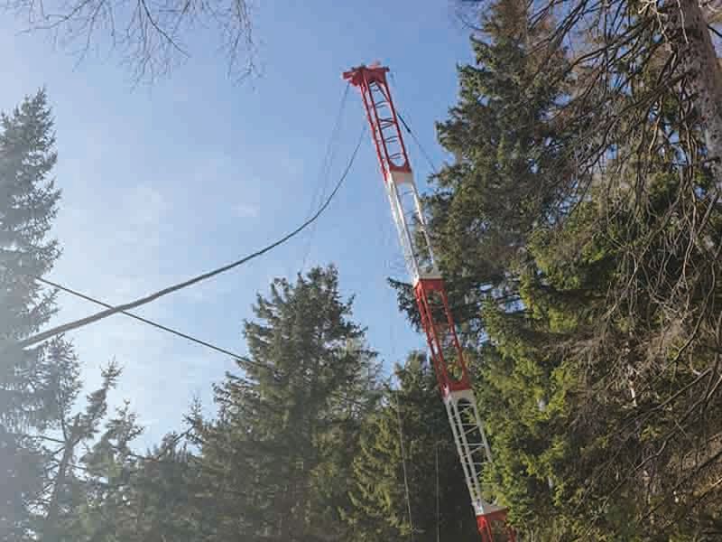 Una gru rossa e bianca che si protende verso il cielo, impigliata tra i cavi elettrici in una foresta.