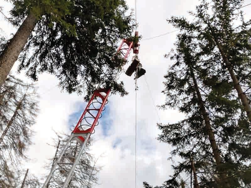 Persona su un percorso di teleferica sospesa a mezz'aria tra torri rosse in una foresta.
