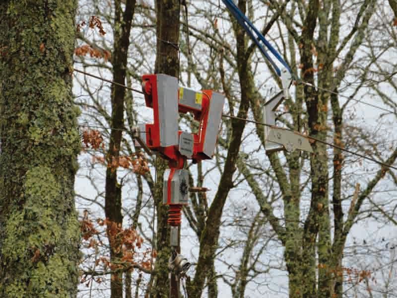 Strumento rosso e grigio fissato a un albero, probabilmente utilizzato per misurazioni o monitoraggi in una zona boscosa.