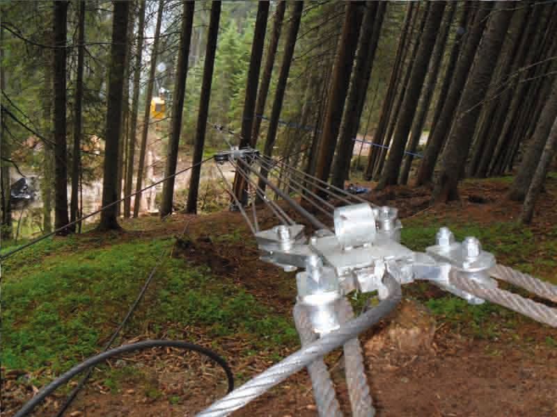 Cavo metallico e ferramenta di fissaggio per l'ancoraggio dei cavi in ​​una foresta.