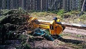 Macchina forestale gialla che lavora un albero caduto in una radura della foresta.