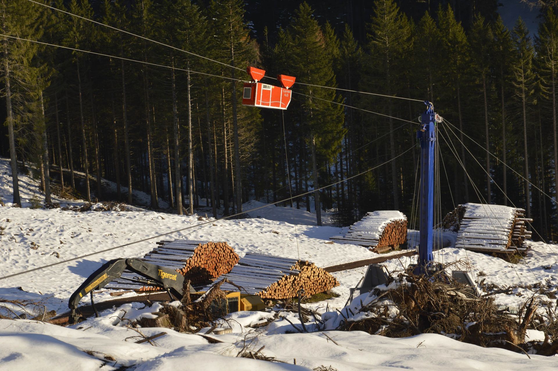 Una funivia rossa trasporta tronchi attraverso una radura innevata, oltrepassando tronchi tagliati e macchinari.