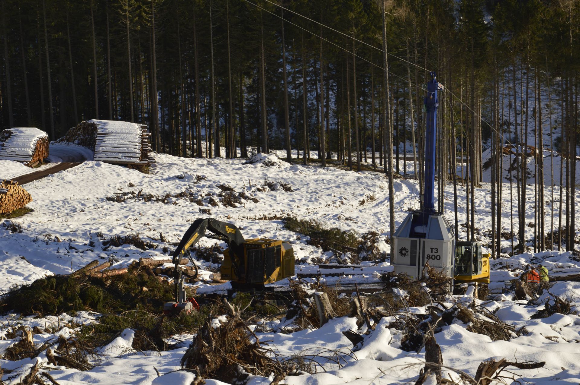Disboscamento di foreste innevate con l'ausilio di attrezzature per il disboscamento, taglio e rimozione di alberi.