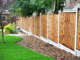 A wooden fence surrounds a lush green lawn in a backyard.