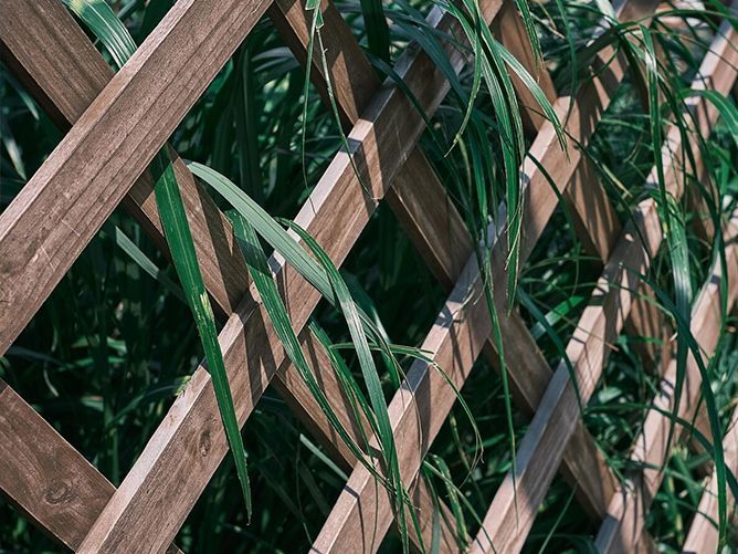 A wooden trellis is surrounded by tall grass.