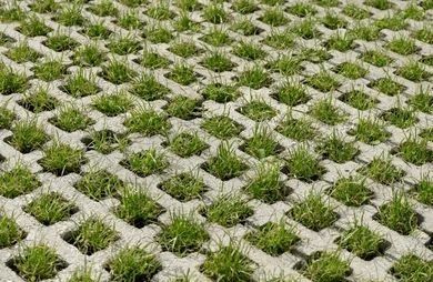 A concrete block with grass growing out of it.
