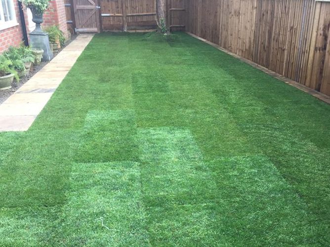 A backyard with a wooden fence and a lush green lawn.