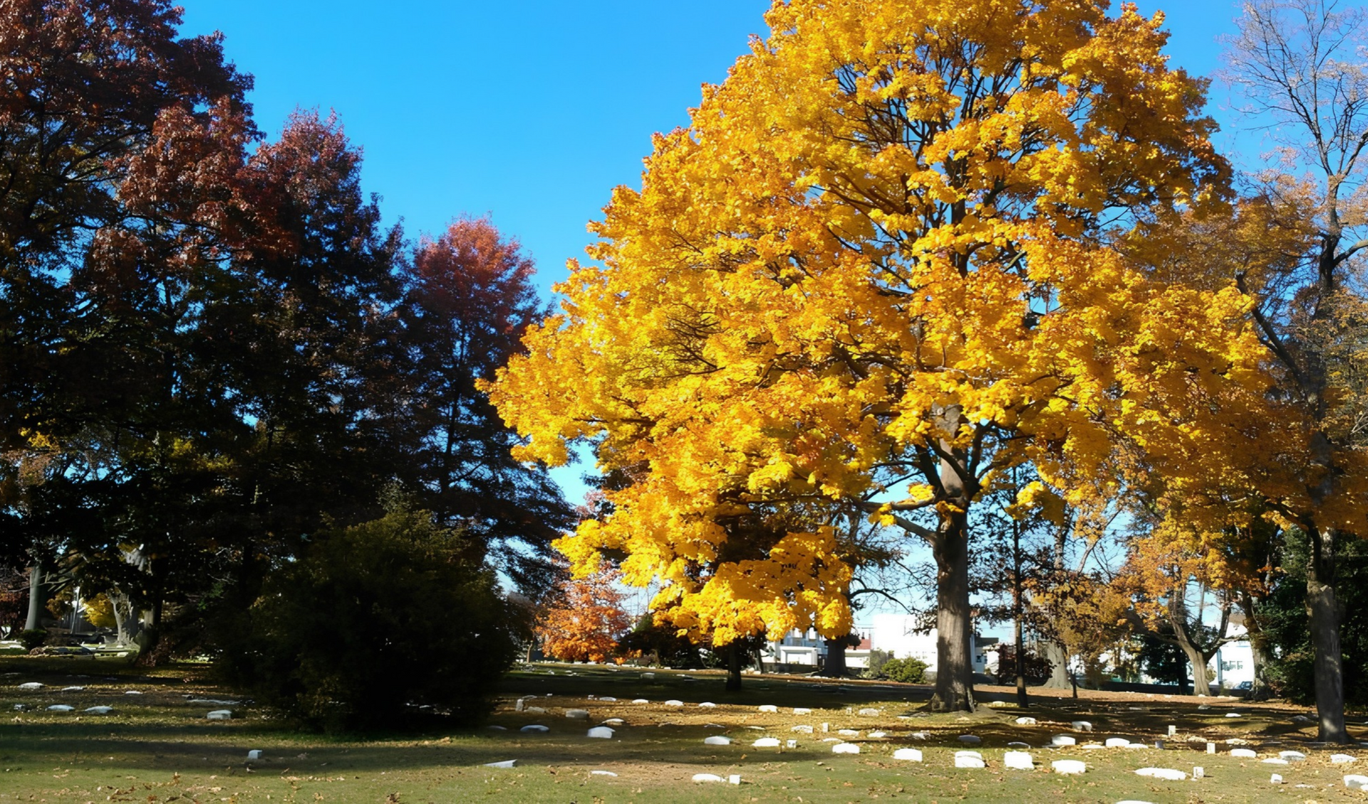 Green Burial at Friends Southwestern Burial Ground in Upper Darby