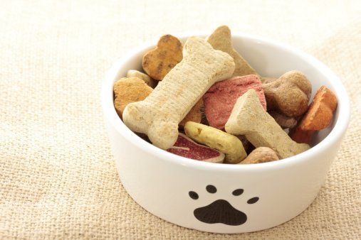 dog treat