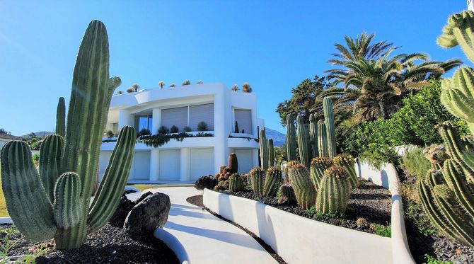 Modern white house with striped awnings, framed by tall cacti and lush desert landscaping under a clear blue sky
