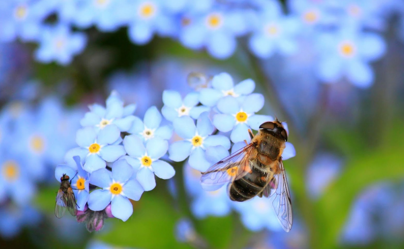 Allergy Testing | Sugarloaf Urgent Care